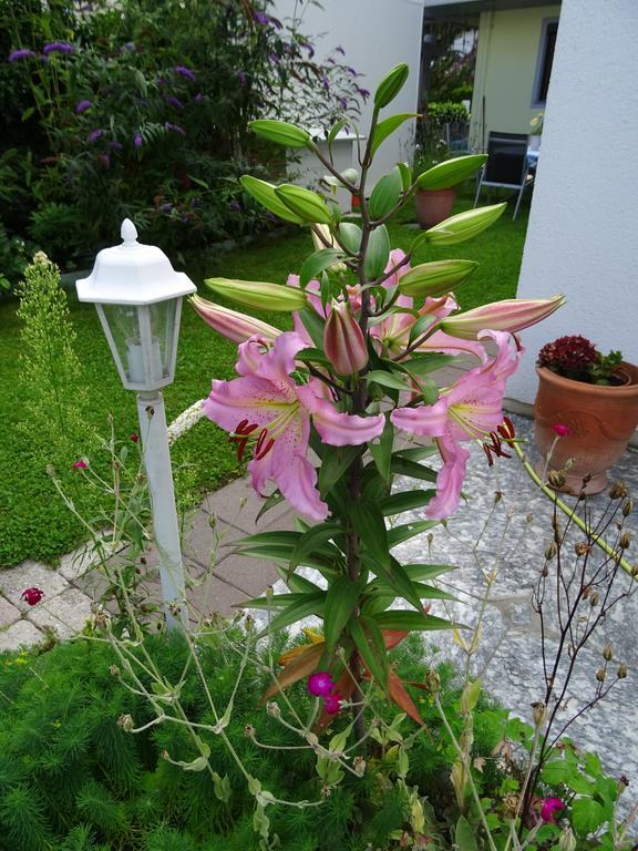 Ferienwohnung Traudl Singer Innsbruck Exterior foto